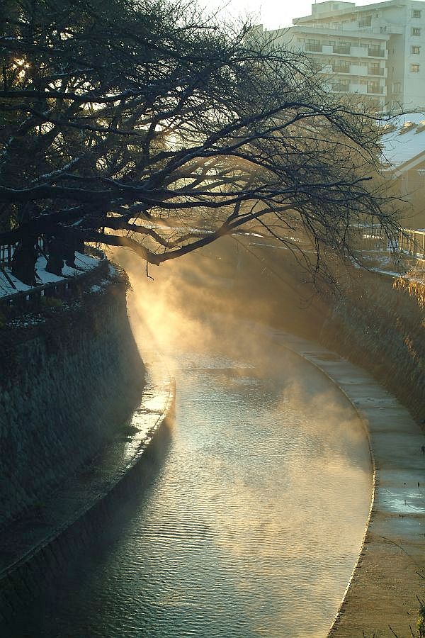 この時の外気温、何度だったんだろう？