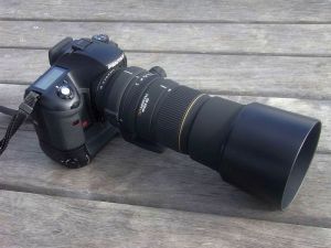 SIGMA APO 135-400mm F4.5-5.6 DG: 買い物とかいろいろ日記