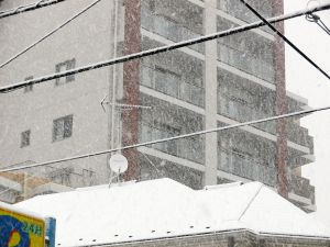 雪だー