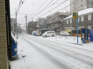 外出するべきか悩む