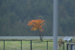 サイズ縮小のみで、特に補正は加えてません