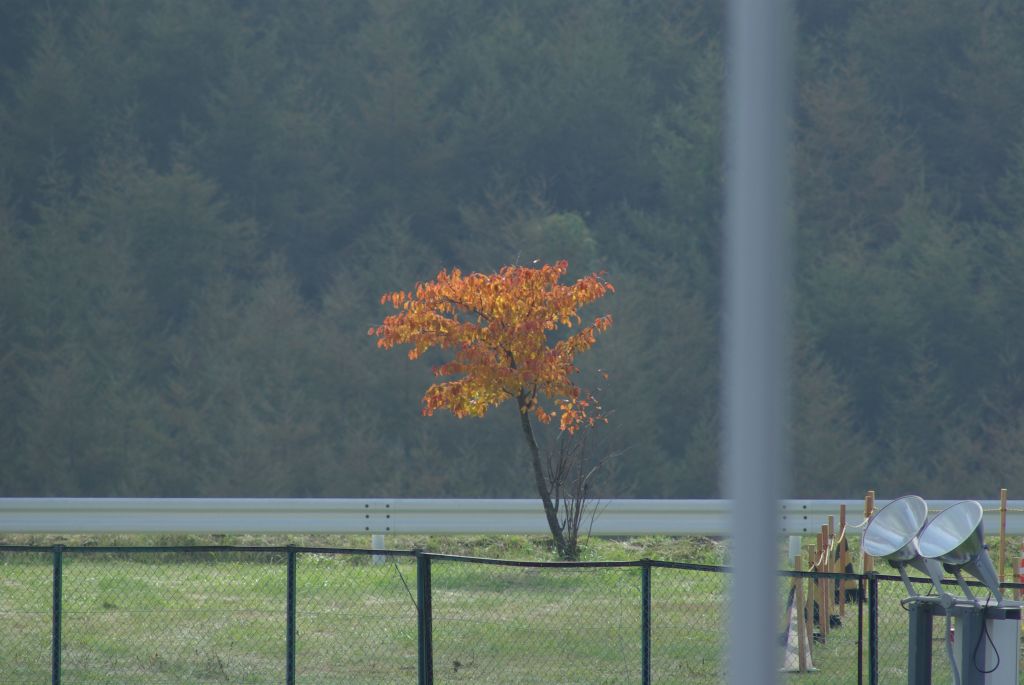 サイズ縮小のみで、特に補正は加えてません